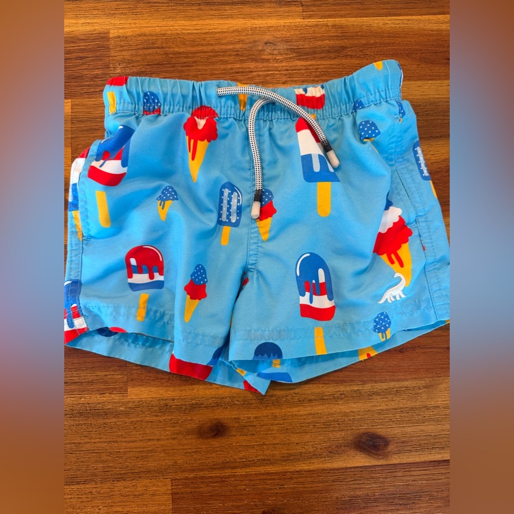Toddler Boys Light Blue Popsicle Print Swim Shorts - 3T